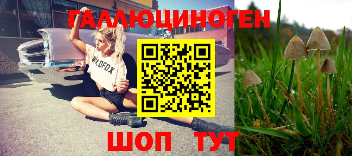 Галлюциногенные грибы мухоморы Протвино