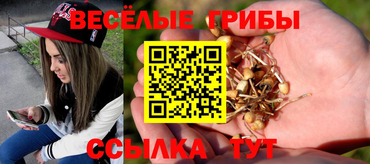 Канабис Протвино